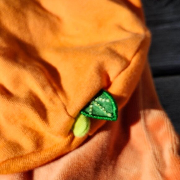 ADORABLE BAY PUMPKIN Costume 3-6 Months Children's Place - Picture 4 of 6